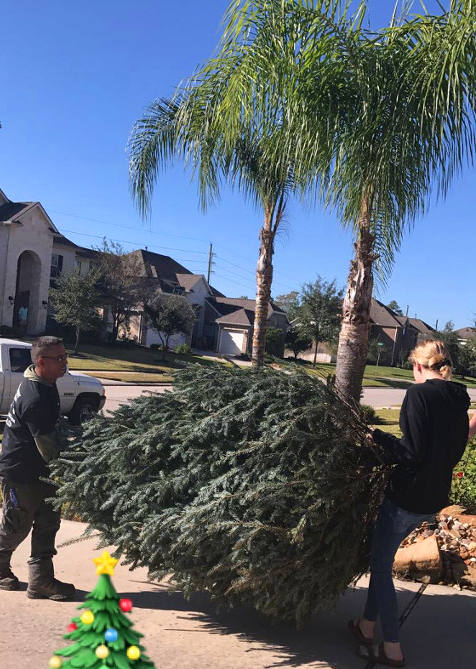 Christmas Tree Delivery From J&J Nursery, Spring, TX