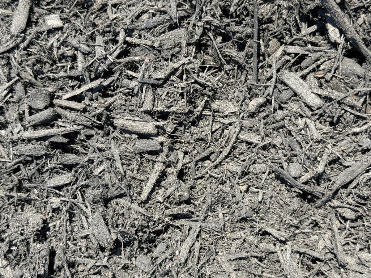Black Mulch