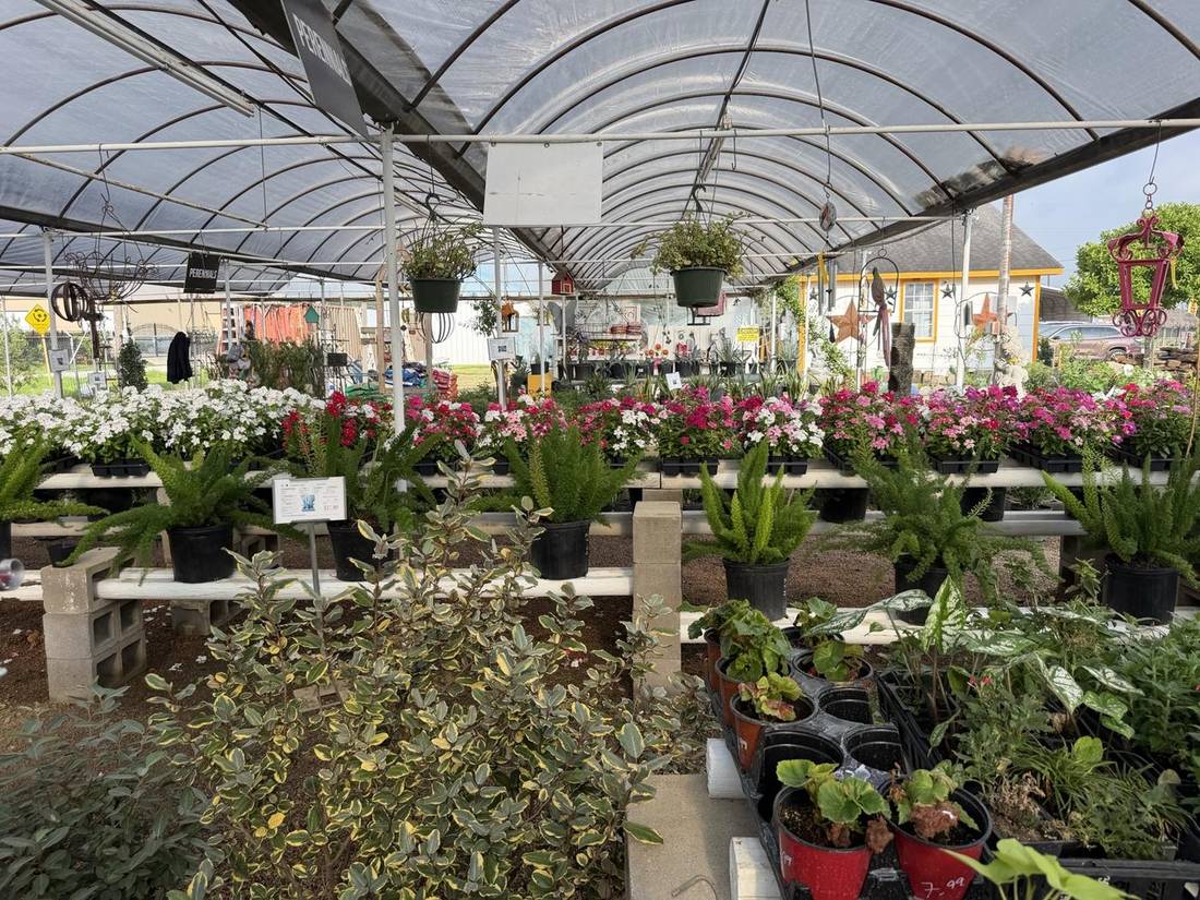 Hanging Baskets