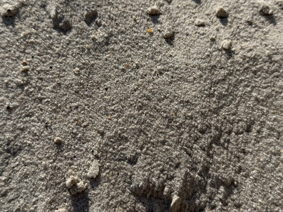 Masonry Sand