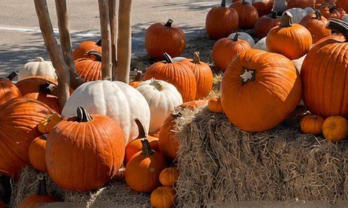 Pumpkins stacked on straw bales