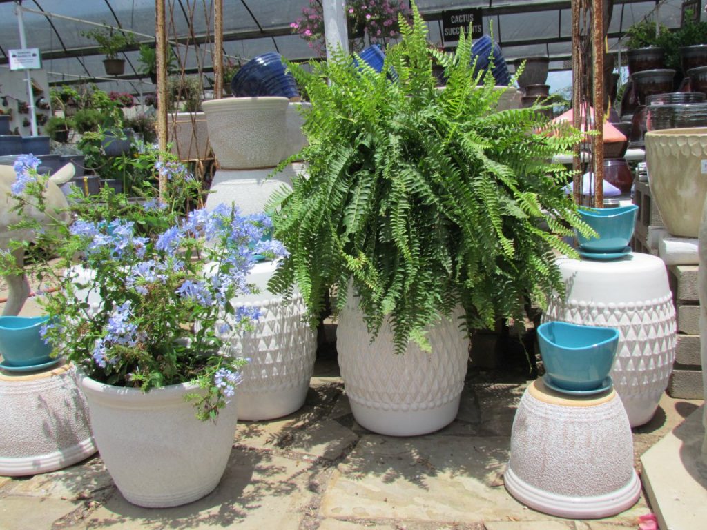 Perfect summer pottery!