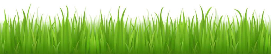 Green Grass!
