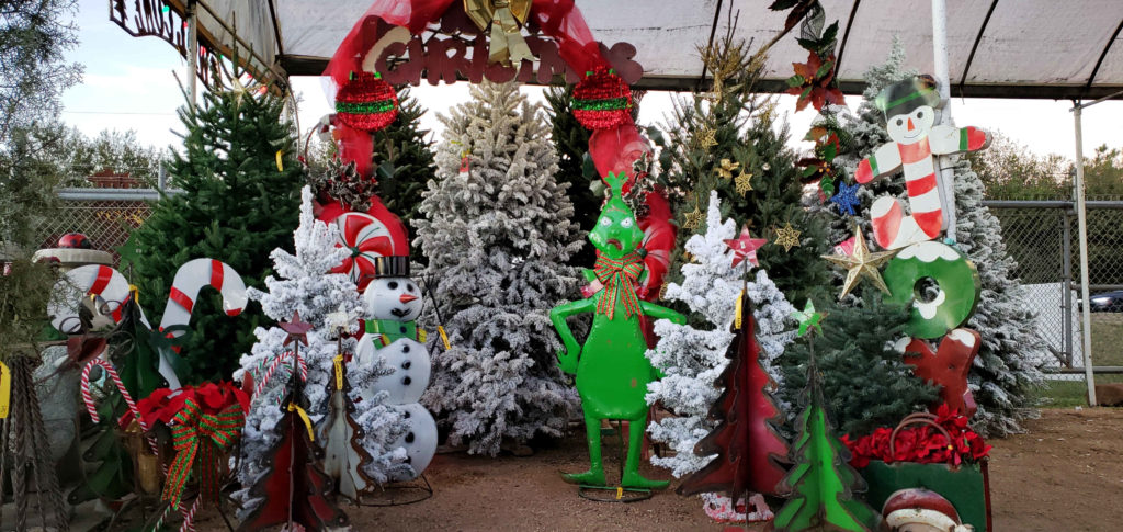 Take your picture while you pick out your Christmas Tree at J&J Nursery!