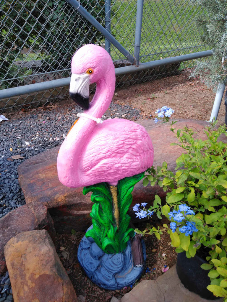 Beautiful Cement Pink Flamingo!
