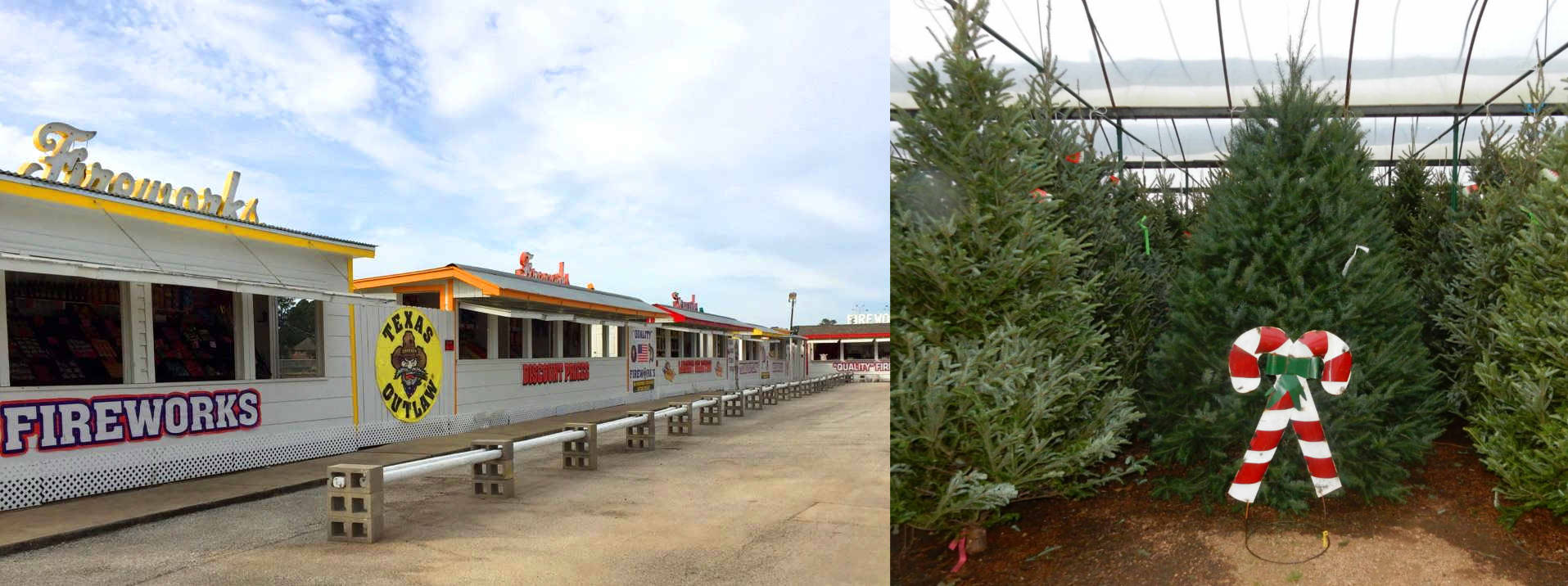 Seasonal Items like Christmas Trees, Fireworks, Grass at J&J Nursery, Spring, TX.