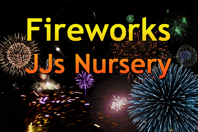 Fireworks at J & J Nursery, Spring, TX, including Christmas Trees!