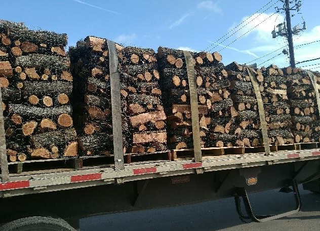 Firewood at J&J Nursery, Spring, TX